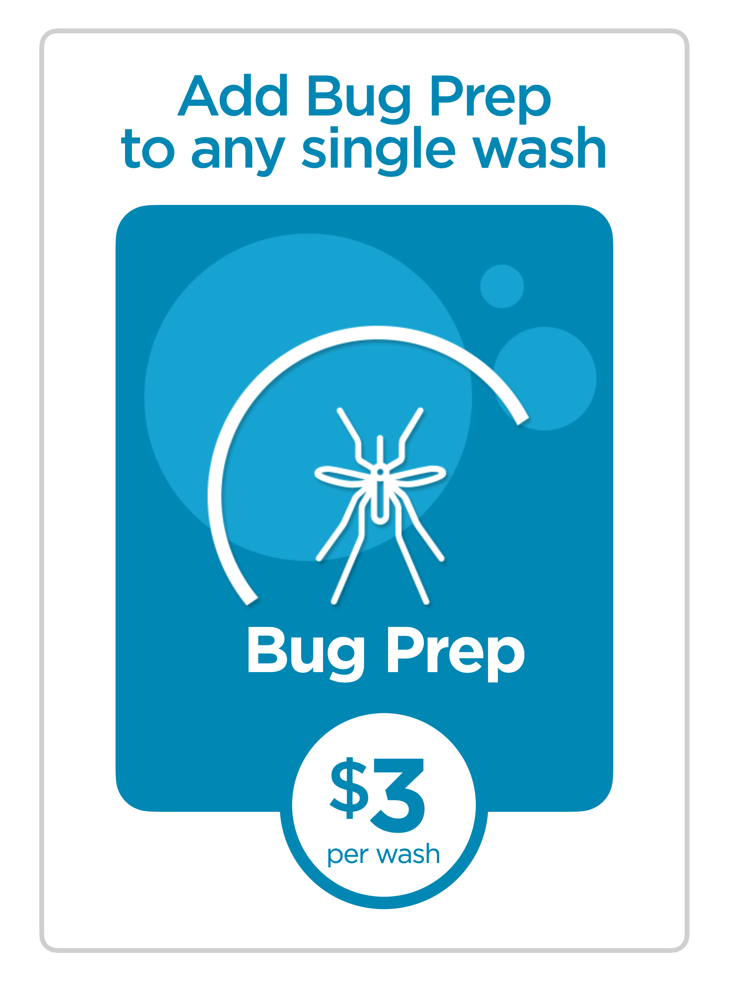 Service – Bug Prep